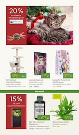 Ähnliche Palme Angebote im Prospekt "ADVENT ADVENT" von Pflanzen Kölle Ähnliches Angebot bei Pflanzen Kölle in Prospekt "ADVENT ADVENT" gefunden auf Seite 15