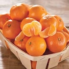 Promo Mandarine à 2,59 € dans le catalogue Intermarché à Camarès