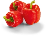 Paprika rot im Netto Marken-Discount Prospekt Paprika rot von im aktuellen Netto Marken-Discount Prospekt für 1,35 €