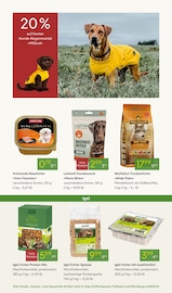 Hundefutter im Pflanzen Kölle Prospekt in Germering Aktueller Pflanzen Kölle Prospekt mit Hundefutter, "GOLDENE GARTENTRÄUME", Seite 16