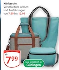 Aktuelle Rucksack Angebote bei GLOBUS in Saarbrücken Aktuelles Kühltasche Angebot bei GLOBUS in Saarbrücken ab 7,99 €