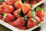 Intermarché Super Vic-sur-Cère - Promo Fraise Ronde Promo Fraise Ronde à 2,99 € dans le catalogue Intermarché Super à Vic-sur-Cère