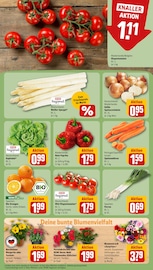 Ähnliche Angebote wie Tulpen im Prospekt "Dein Markt" auf Seite 7 von REWE in Königswinter