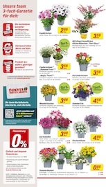 Blumen im toom Baumarkt Prospekt in Velbert Aktueller toom Baumarkt Prospekt mit Blumen, "Respekt, wer's selber macht.", Seite 2