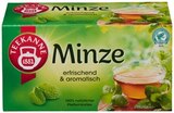 REWE Itzehoe - Kräutertee Minze oder Früchtetee Waldbeere Angebot im Prospekt Kräutertee Minze oder Früchtetee Waldbeere bei REWE im Itzehoe Prospekt für 1,49 €