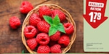 Himbeeren im REWE Prospekt Himbeeren von im aktuellen REWE Prospekt für 1,79 €