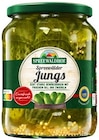 Penny Schneeberg - Gewürzgurken Angebot im Prospekt Gewürzgurken bei Penny im Schneeberg Prospekt für 1,79 €