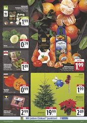 Garten im EDEKA Prospekt in Bayreuth Aktueller EDEKA Prospekt mit Garten, "Wir lieben Lebensmittel!", Seite 3