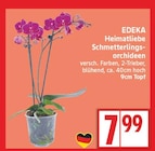 Heimatliebe Schmetterlingsorchideen von EDEKA im aktuellen EDEKA Prospekt