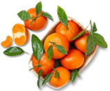 Span. Clementinen mit Blatt bei Kaufland im Hohenentringen Prospekt für 1,99 €