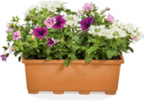 Aktuelles bepflanzter Balkonkasten Angebot bei Netto Marken-Discount in Essen ab 4,99 €