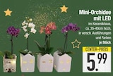 Mini-Orchidee mit LED von  im aktuellen EDEKA Prospekt für 5,99 €