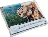 Huîtres fines de claires IGP N°4 - MARENNES OLÉRON - Intermarché Contact à La Seyne-sur-Mer Huîtres fines de claires IGP N°4 - MARENNES OLÉRON en promo chez Intermarché Contact La Seyne-sur-Mer à 7,19 €