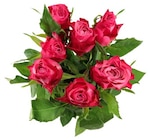 Langstielige 50-cm-Rosen im Penny Prospekt Langstielige 50-cm-Rosen im aktuellen Penny Prospekt für 2,49 €