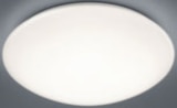 LED-Deckenleuchte für 24,99 € bei ROLLER im Angebot LED-Deckenleuchte im aktuellen ROLLER Prospekt