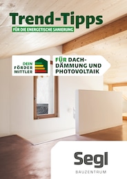 Segl Bauzentrum Prospekt für Büchlberg: "Trend-Tipps FÜR DIE ENERGETISCHE SANIERUNG", 12 Seiten, 24.05.2024 - 02.06.2024