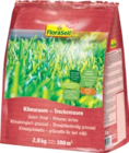 Trockenrasen / Klimarasen von FloraSelf im aktuellen Hornbach Prospekt