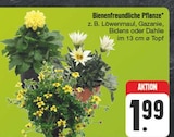 Bienenfreundliche Pflanze im Angebot bei E center in Nürnberg Bienenfreundliche Pflanze Angebote bei E center Nürnberg für 1,99 €