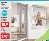 Insektenschutz für Fenster im aktuellen Thomas Philipps Prospekt