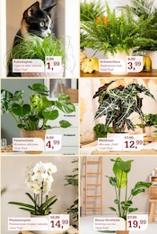 Tierbedarf im Garten-Center Nordharz GmbH & Co. KG Prospekt in Peine Aktueller Garten-Center Nordharz GmbH & Co. KG Prospekt mit Tierbedarf, "MEINE LIEBLINGSFARBE IST OKTOBER", Seite 3