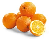 Bio Orangen bei REWE im Prospekt "" für 2,22 €