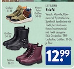 Stiefel von LILY & DAN für 12,99 € bei ALDI SÜD im Angebot Stiefel von LILY & DAN im aktuellen ALDI SÜD Prospekt