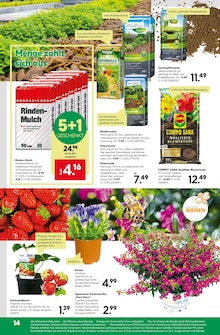 Blumenerde im aktuellen BayWa Bau- und Gartenmärkte Prospekt (Nürnberg) Blumenerde im BayWa Bau- und Gartenmärkte Prospekt "Hier bin ich gern" mit 16 Seiten (Nürnberg)