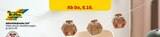 Adventskalender-Set im Angebot bei Penny in Coesfeld Adventskalender-Set Angebote von folia bei Penny Coesfeld für 6,99 €