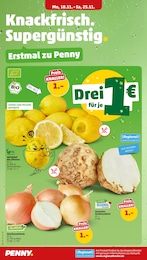 Zwiebeln Angebot im aktuellen Penny Prospekt auf Seite 6