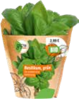 Bio-Kräuter von GROW by OBI für 2,99 € bei OBI im Angebot Bio-Kräuter von GROW by OBI im aktuellen OBI Prospekt