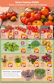 Ähnliche Tomatenpflanze Angebote im Prospekt "Dein Markt" von REWE in Darmstadt Ähnliche Angebote wie Tomatenpflanze im Prospekt "Dein Markt" auf Seite 7 von REWE in Darmstadt