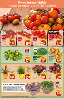 Hortensie im REWE Prospekt "Dein Markt" mit 34 Seiten (Darmstadt)