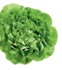 Kopfsalat bei tegut im Prospekt "" für 0,49 €