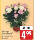 Topfrosen Dolce Amore für 4,99 € bei E center im Angebot Topfrosen Dolce Amore im aktuellen E center Prospekt