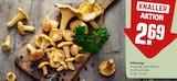 Pfifferlinge im Angebot bei REWE in Leonberg Pfifferlinge Angebote bei REWE Leonberg für 2,69 €