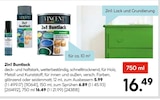 2in1 Buntlack von Vincent im aktuellen Hellweg Prospekt