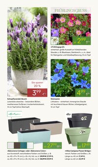 Blumenkasten im Pflanzen Kölle Prospekt "FRÜHLINGS-ERWACHEN" mit 14 Seiten (Stuttgart)