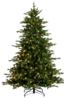 Aspen Weihnachtsbaum im Angebot bei Rusta in Dessau-Roßlau Aspen Weihnachtsbaum Angebote bei Rusta Dessau-Roßlau für 199,90 €