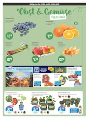 Aktueller V-Markt Prospekt mit Erdbeeren, "V-Markt einfach besser einkaufen", Seite 4