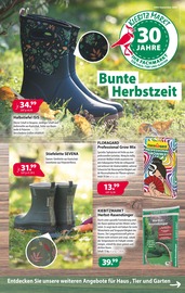 Aktueller Kiebitzmarkt Prospekt mit Gummistiefel, "Bunte Herbstzeit!", Seite 1