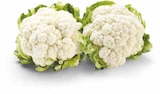 Blumenkohl im Netto Marken-Discount Prospekt Blumenkohl von HEIMAT im aktuellen Netto Marken-Discount Prospekt für 1,79 €