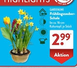 Frühlingszauber-Schale von Gardenline für 2,99 € bei ALDI SÜD im Angebot Frühlingszauber-Schale von Gardenline im aktuellen ALDI SÜD Prospekt