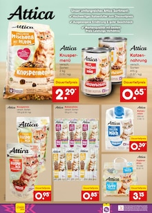 Katzenfutter im aktuellen Netto Marken-Discount Prospekt (Chemnitz) Katzenfutter im Netto Marken-Discount Prospekt "Aktuelle Angebote" mit 53 Seiten (Chemnitz)