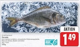 Dorade im aktuellen E center Prospekt