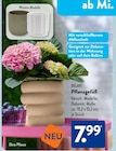 Pflanzgefäß von BELAVI im aktuellen ALDI SÜD Prospekt für 7,99 €