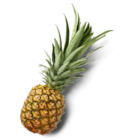 Costa-rican Ananas, lose im Angebot bei Kaufland in Bottrop Costa-rican Ananas, lose Angebote bei Kaufland Bottrop für 1,79 €