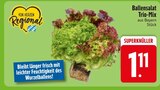 Ballensalat Trio-Mix von  im aktuellen EDEKA Prospekt für 1,11 €
