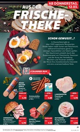 Aktueller Kaufland Prospekt mit Pute, "KNÜLLER", Seite 49