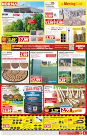 Gartendeko im Norma Prospekt in Bonn Aktueller Norma Prospekt mit Gartendeko, "Mehr fürs Geld", Seite 4