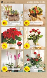 Prix et réduction Plante D'intérieur dans le prospectus Intermarché Hyper en cours Offre Plante D'intérieur dans le catalogue Intermarché Hyper du moment à la page 22